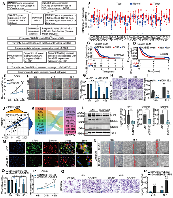 微信图片_20240930202052.jpg 微信图片_20240930202052.jpg