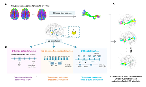 微信图片_20250403081451.jpg 微信图片_20250403081451.jpg