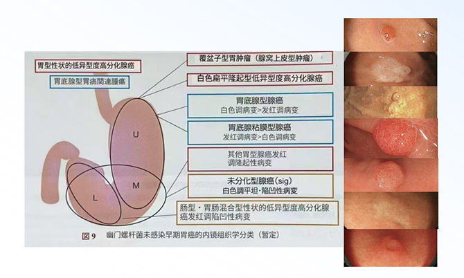 图片8.jpg 图片8.jpg
