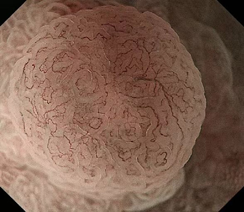 图片20.jpg 图片20.jpg