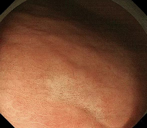 图片27.jpg 图片27.jpg